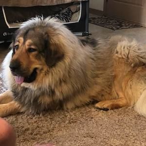 Meet your Posher, Vicky